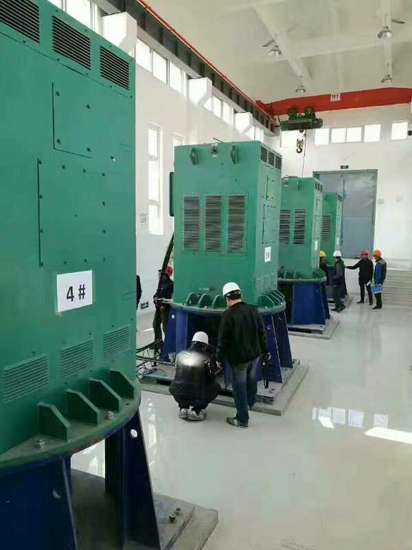 Y5602-4某污水处理厂使用我厂的立式高压电机安装现场生产厂家