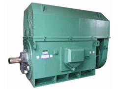 Y5602-4Y系列6KV高压电机