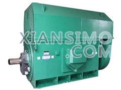 Y5602-4YXKK(2极)高效高压电机技术参数